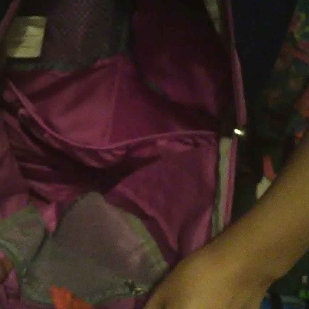 Backpack - Picture 2 of 3